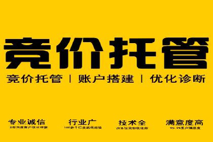 SEM代运营服务公司案例：提升广告投放效果